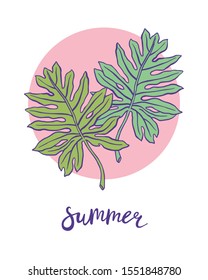 Summer. Hand drawn tropical leaves. Vector illustration for creative design of banners, posters, cards, etc.