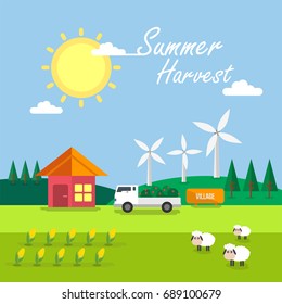 Summer Harvest Background