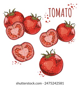 Summer harvest of fresh tomatoes. Whole tomato and half in modern style with black outline. Vector mosaic image.