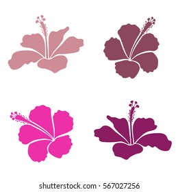 Summer hawaiian collection with tropical plants and magenta, purple and pink hibiscus flowers. Vector illustration.
