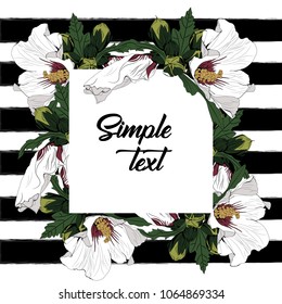 Summer Hawaiian flyer design with green tropical plants, hibiscus flowers. Element with text placeholder. Design element on striped background. Place for text. Vector illustration