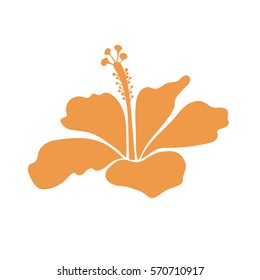 Summer hawaiian icon with isolated tropical flower. Single orange on white hibiscus flower. Vector illustration.