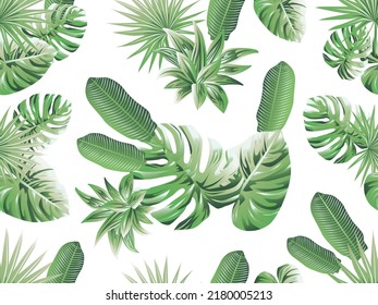 Summer Hawaiian seamless pattern with exotic tropical plants and leaf, monstera
