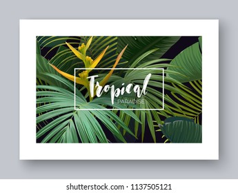 Summer hawaiian vector design for card or flyer with exotic palm leaves, tropical flowers and lettering.