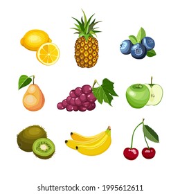 Summer healthy fruit food icon cartoon collection. Set of bright beautiful colorful different fruits. Vector illustration