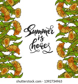 Summer is here hand drawn lettering phrase with dandelion floral composition on white background. Handwritten calligraphy design for greeting cards, posters, banners, cloth, textile, fabric. Vector