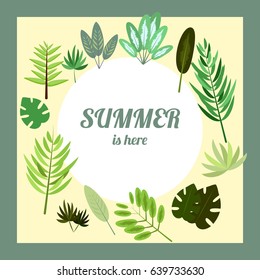 Summer is here postcard, banner with palm leaves on light green background with a frame