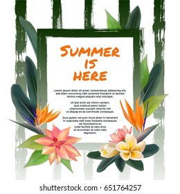 Summer is here tropical border vector illustration with plumeria or frangipani flower, bird of paradise or crane flower, jungle leaves and hawaiian plant. Striped background. Frame, text, bouquet.