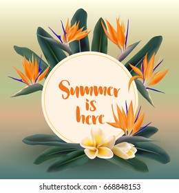 Summer is Here vector card. Plumeria and Strelitzia Reginae flowers and green jungle leaves round frame. Circle border with bird of paradise and franipani plants. Summer card, tropical flowers frame.
