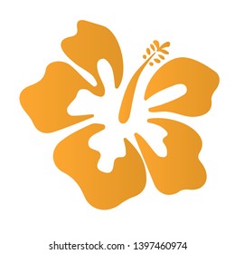 Summer hibiscus beautiful flower vector illustration