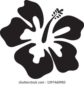 Summer hibiscus beautiful flower vector illustration