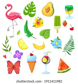 Summer holiday elements set. Tropical cocktail, flamingo, Hawaiian flower, fruits, ice cream, watermelon isolated on white. Vector illustration for vacation on Caribbean island, Bali paradise concept