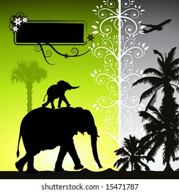 Summer holiday, elephants