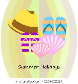 summer holiday hat flip flops seashell vector background