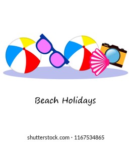 summer holiday hat flip flops seashell vector background