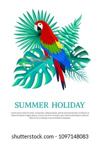 Summer holiday text poster with headline and parrot leaves of monstera royal fern, summertime vector illustration isolated on white background