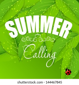 summer holidays poster vector illustration