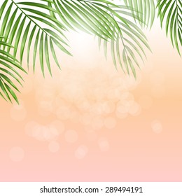 Summer holidays vector illustration. Sunlight through trees. Palm leaves on pink background with bokeh effect. EPS 10.