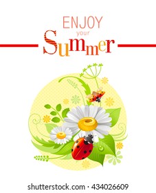 Summer icon with nature elements - daisy flower, green grass, leafs, ladybugs on pink background