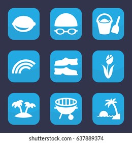 Summer icon. set of 9 filled summer icons such as slippers, lemon, bbq, palm, swimming hat and glasses, island, flower, bucket and shovel