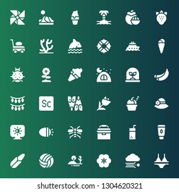 summer icon set. Collection of 36 filled summer icons included Bikini, Blizzard, Flower, Hill, Volleyball, Corn, Cream, Juice, Portable fridge, Wasp, Lights, Brightness, Pamela
