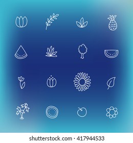 Summer icon set. Hand drawn vector line icons for website design or printed products of travel company. Summer plants watermelon, flowers, tulip, tree, bush, leaf, coconut, pineapple, branch, camomile