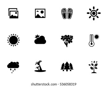 Summer Icons