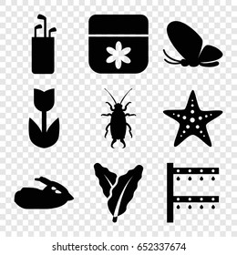 Summer icons set. set of 9 summer filled icons such as spinach, butterfly, beetle, flower, irrigation system, jet ski, starfish