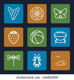 Summer icons set. set of 9 summer outline icons such as butterfly, beetle, spinach, beach ball, lemon, strawberry, sea and gull, dragonfly