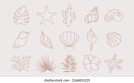 Summer icons set with corals, palm leaves and seashells. Cute sea, ocean and brown background with sand. For social media, accommodation rental and travel services.