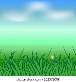 Summer illustration blue sky and green grass vector