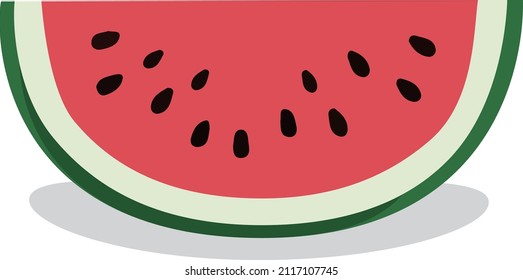 Summer illustration
Sliced watermelon illustration