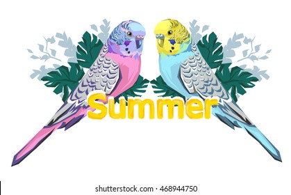 summer illustration vector, budgie vector illustration. 