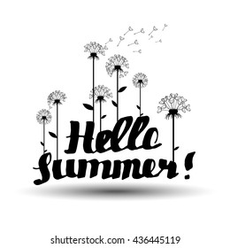 summer, inscription, hello summer, dandelion vector background botany flower fluffy