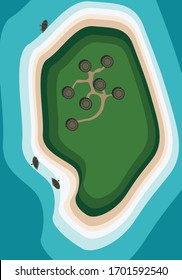 Summer island from top view 