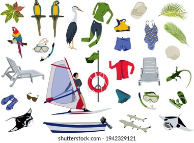Summer items big set on white background. Holiday season design elements. Hand drawn collection. Swim wear, active adventure, tropical animals and plants, beach objects. Isolated vector illustration.
