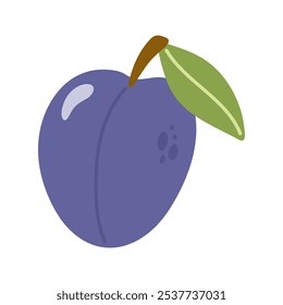 Summer juicy purple plum with leaf. Hand drawn cartoon fruit illustration. 