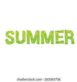 summer label. summer word in low poly style 