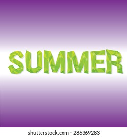 summer label. summer word in low poly style