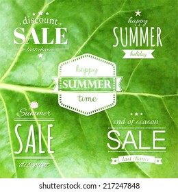 Summer Labels Set, Vector Illustration