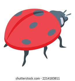 Summer ladybug icon isometric vector. Cute bug. Garden beetle