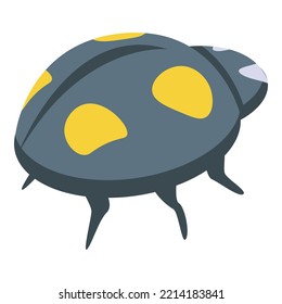 Summer ladybug icon isometric vector. Cute bug. Garden beetle