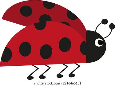 Summer ladybug, illustration, vector on a white background.