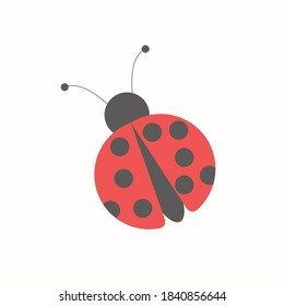 
Summer ladybug with wings for flying