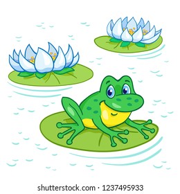 Summer lake. Funny green frog sitting on the big leaf among the lilies. On the white background.