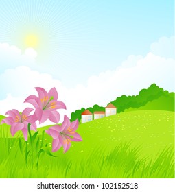Summer landscape
