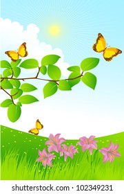 Summer landscape
