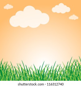 Summer landscape
