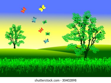 Summer landscape