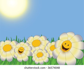 Summer landscape